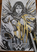 Commissions 12 - Kingdom Come Wonder Woman