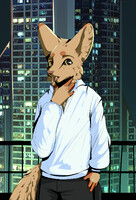 In the night lights (ver 2)