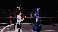 Kari vs Dorotha
