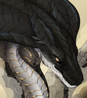bonus headshot