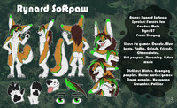 Rynard Softpaw Refsheet