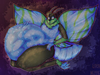 [ C ] moth boi for Argwin