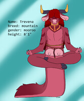 mountain bullroo adopt! edited version