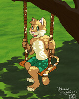 A cat in a swing
