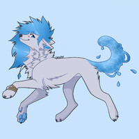 Splash