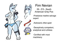Firn Nevian Reference sheet