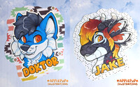 Doktor and Jake badges
