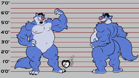 Commission - Benny the Wolf Reference Sheet