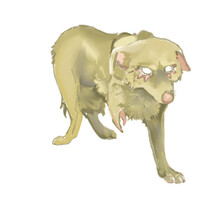 Eyes Full of Pain (WIP)