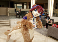 FD2023 - Roaming Shark