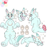 Furry adopt auction USD PAYPALL! Open!