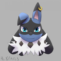 Expression Studies 2