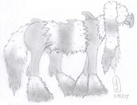 Blyn Aftyr (Blind Fog)