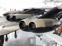 Binocular Thrust