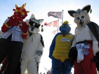 Fursuiters at AnimeNorth 2010