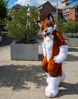 Nottingham Fuzzies
