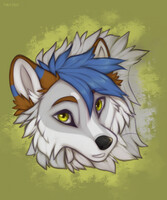 head 9
