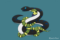 Snake Hugs for Basil