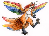 The Spotted Owlfox