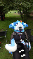 Fursuiting at Britzer Garten