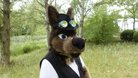 Fursuiting at Britzer Garten