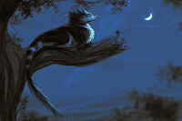 Iki sitting on a tree