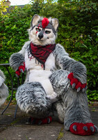 Folf Face
