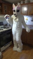 Wondera's new fursuit