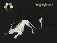 Caligreyhound