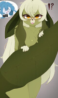 Matcha Sneak Peek
