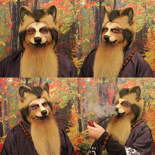 raccoon makeup costume