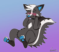 Blushy Socks