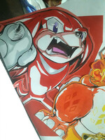 Knuckles the echidna