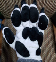 The ONLY pic I took of these paws 😤