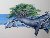 Kahu close up 2