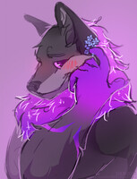The forget-me-not flowers