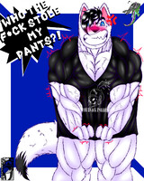 Matt pup from TikTok