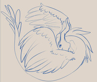 ୨⎯ Celestia Sketch - OLD ⎯୧