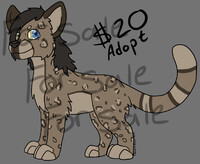 Big Cat Adopt 1