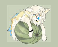 ✦ wolf on watermelon!! again..