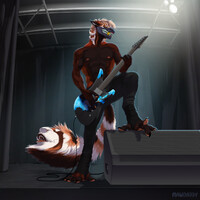 Gale's Guitar Solo