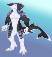 Shark Adopt (Open)