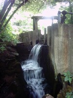 Mühlenflies an der alten Mühle 