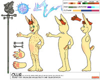 Wren Ollie reference sheet 2