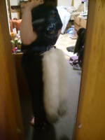 Twin Fox Tails, Shot 1