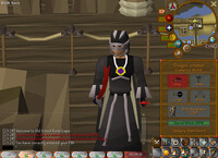 Custom Shoey OSRS Hud!