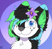 PWYW Nova