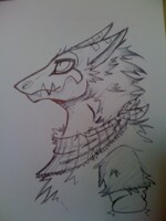sergal chair