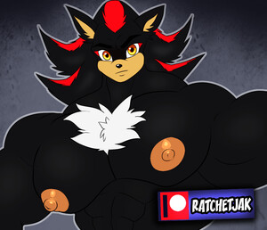 Shadow The Hedgehog by IDontBelieveInSalads -- Fur Affinity [dot] net