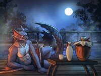 Under moonlight